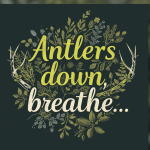 "Antlers down, breathe"
