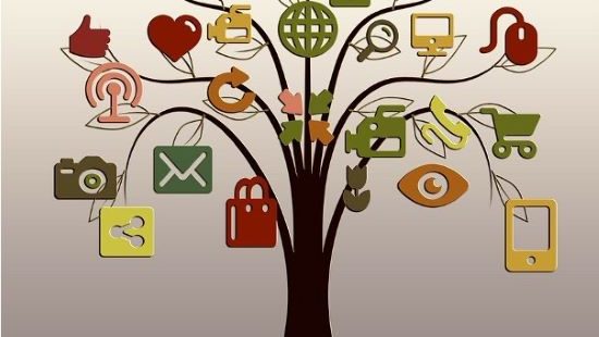 tree illusitration where the leaves are different software application logos, like envelopes, cameras, hearts, tablets