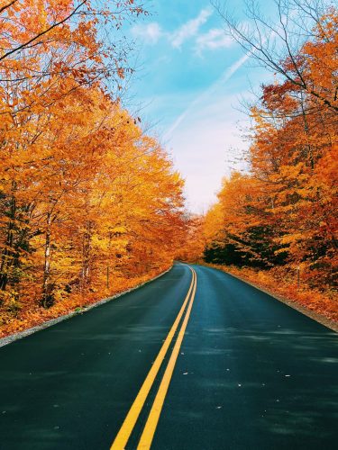 A road with double yellow lines curves through a forest ablaze with vibrant orange and yellow autumn foliage